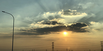 张家川悦旭技术优势